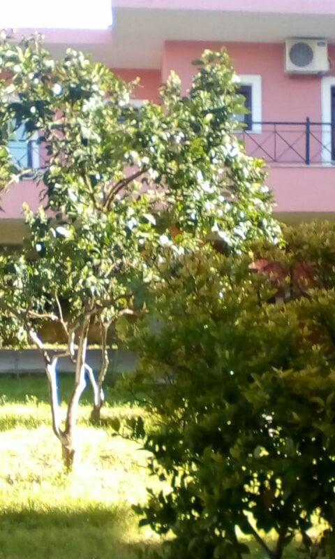 Gouvia House Luxury Apartments Bagian luar foto